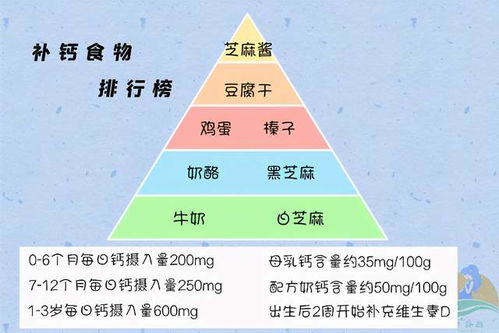 孕期钙含量高的食物