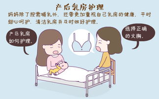 产后乳房护理主要包括哪些内容