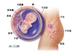 怀孕的环境对胎儿影响大不大