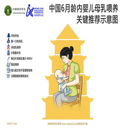 母乳喂养期间的体重管理不包括