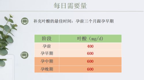 备孕期营养需要及其用量