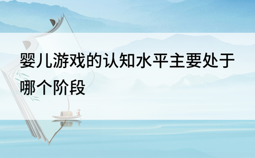 婴儿游戏的认知水平主要处于哪个阶段