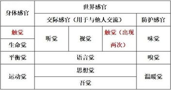 感官教育的地位与作用