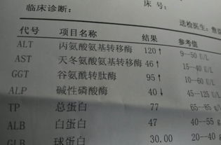 备孕之前体检都检查什么项目