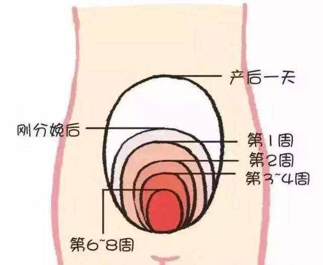 产妇伤口愈合