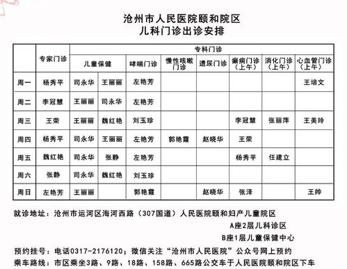 婴儿认知能力训练教案