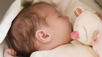 新生儿的睡眠规律