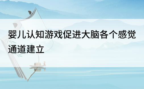 婴儿认知游戏促进大脑各个感觉通道建立