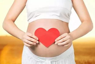 分娩是指孕妇在怀孕期间，胎儿在子宫内发育成熟后，通过产道娩出的过程。分娩通常分为三个基本阶段：第一阶段是子宫收缩和宫颈扩张期；第二阶段是胎儿娩出期；第三阶段是胎盘娩出期。