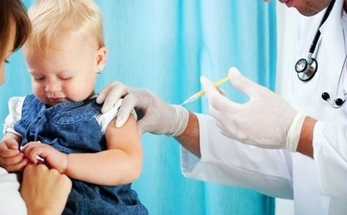婴儿疫苗接种的护理要点是什么