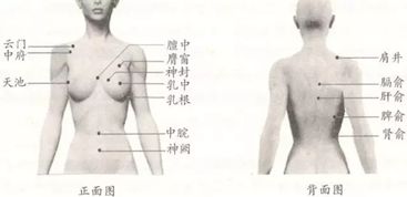 产褥期乳房保健的指导包括