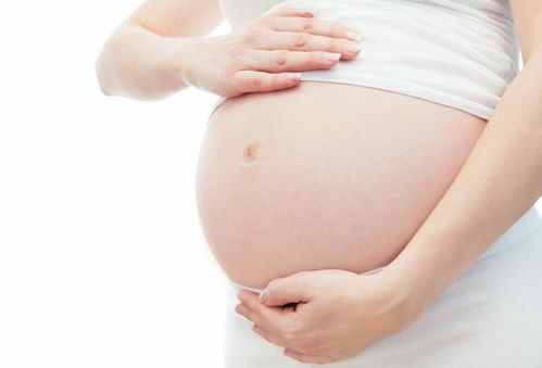 孕期安胎食谱