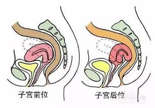 有什么办法可以提高受孕几率的方法