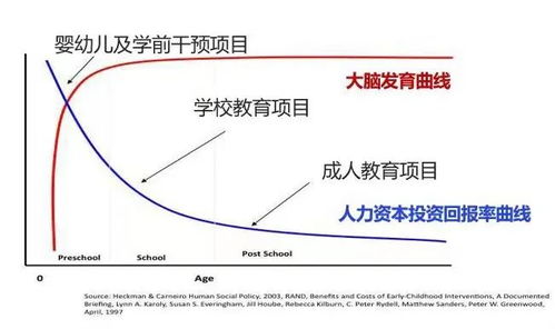 儿童早期发展不包括哪个方面