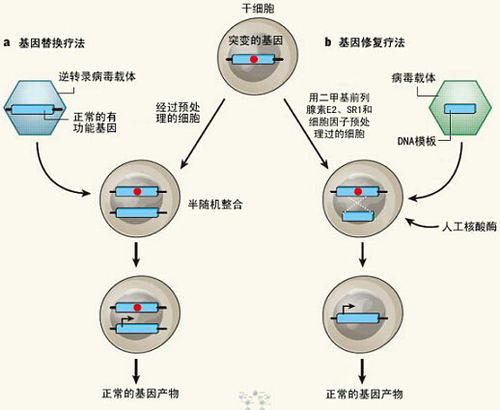 遗传病生孩子可以避免吗