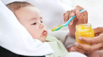 预防婴儿过敏的饮食建议是什么意思