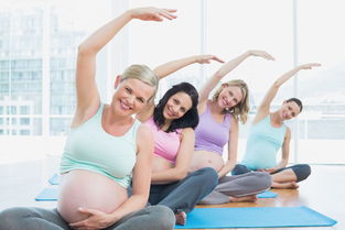 孕妇可以在室内做什么运动