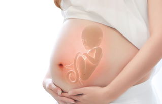孕妇补钙产品推荐哪种最好