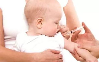 婴儿预防针注射部位