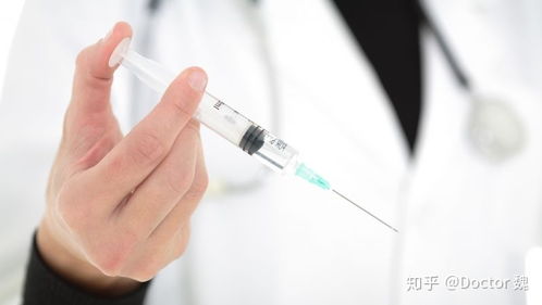 甲状腺功能查几项合适