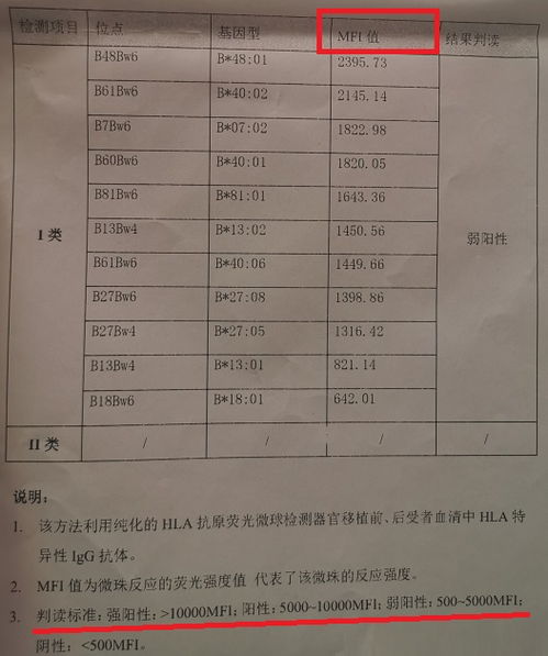 备孕检查抗体什么时候检查