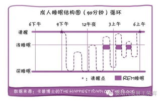 婴儿的睡眠周期约为60分钟对吗