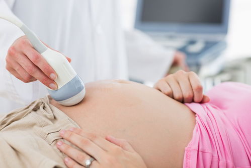 孕期补充蛋白质对胎儿有什么作用吗