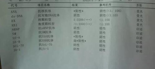 备孕期抗体检查项目怎么看报告