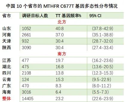 叶酸代谢高度障碍人群