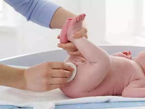 新生儿护理与喂养指导