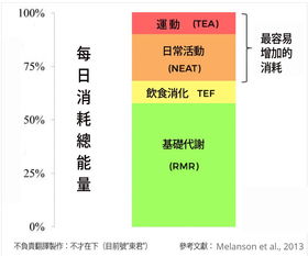 孕中期能量计算