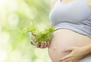 孕晚期吃啥有助于消化