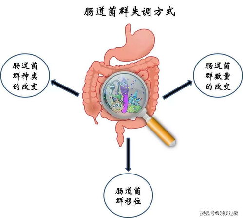 肠道菌群失调会导致