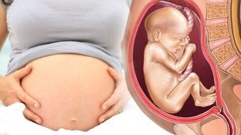 孕期环境对胎儿的影响有多大了