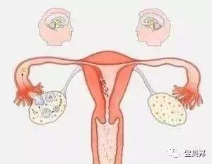 卵巢储备功能测定怎么做