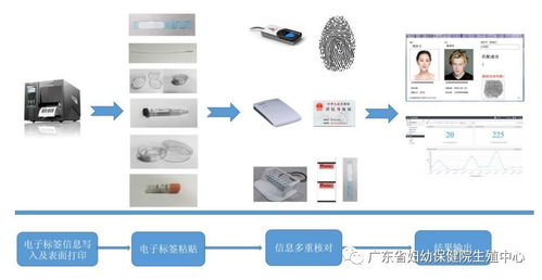 做人工辅助生殖的流程