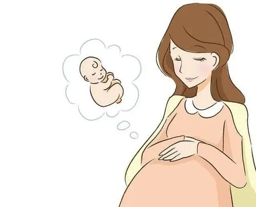 怎么备孕更容易怀孕女性