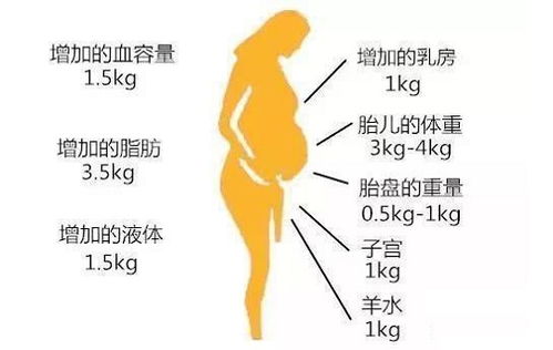 备孕期间体重会增加吗