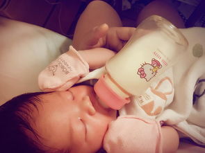 新生儿夜间喂几次奶正常