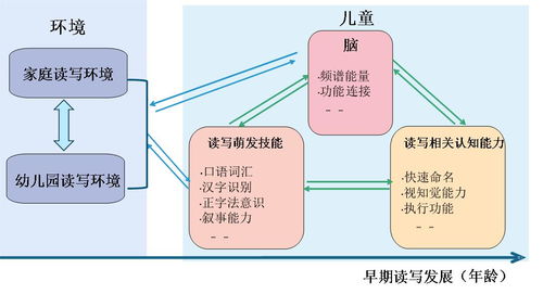 儿童早期发展内容包括哪些内容