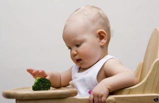 婴幼儿消化系统的特点和保健