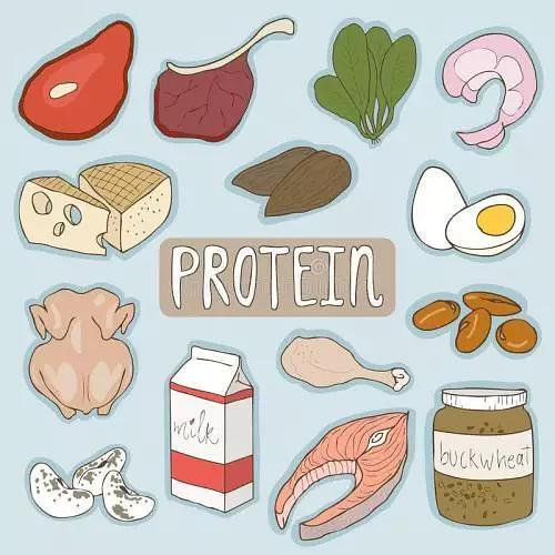 孕期蛋白质补充什么