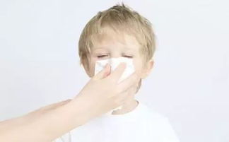 小宝宝如何预防鼻炎