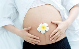 孕妇身体变化过程