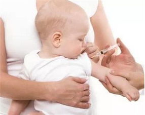 婴儿接种疫苗注意什么问题