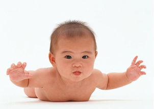 婴儿的大运动发育过程包括